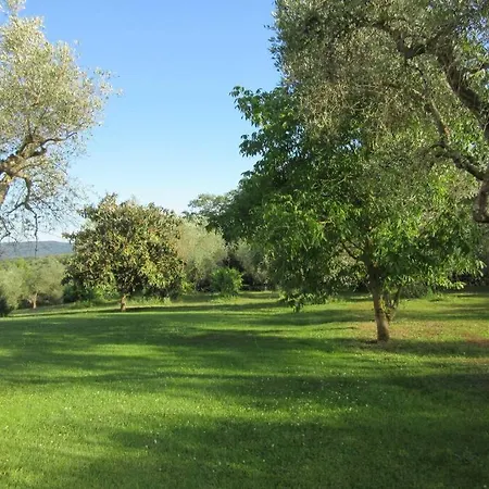 Vila Montecasciano